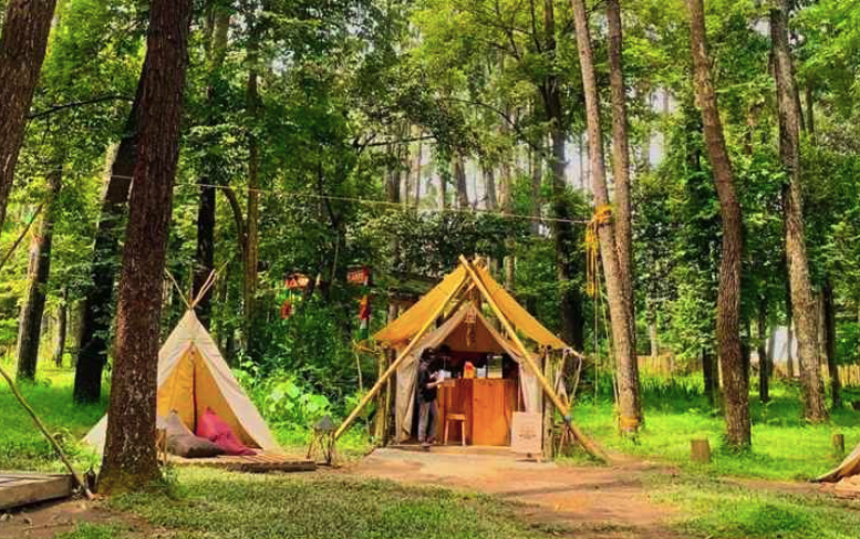 Taman Wisata Alam Punti Kayu